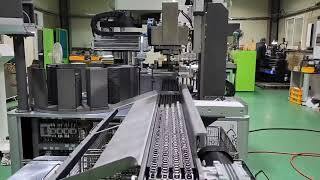 Automatic Press Caulking Line